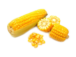 Fresh corn cob on white background