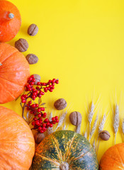 Yellow autumn background. Autumn harvest festival.