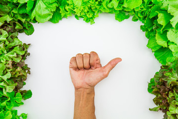 Fresh green salad vegetables with man's hand making like sign on white background, healthy eating...