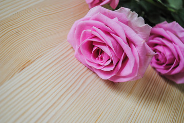 Pink rose on the table