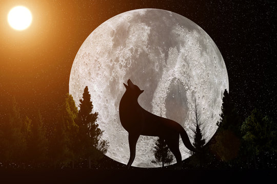Tag und Nacht. Silouette eines Wolfes auf einem Huegel. Im Hintergrund ein grosser Mond. Linke Seite des Bildes von der Sonne beleuchtet. Rechte Seite ist dunkel. Erstellt in 3D. Mondtextur der NASA