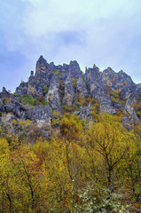 Beautiful landscape in the mountain with colorful autumn forest