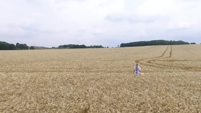 frau im wei&szlig;en sommerkleid l&auml;uft fr&ouml;hlich h&uuml;pfend duch Kornfeld luftaufnahme