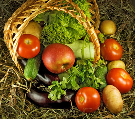 Different vegetables closeup