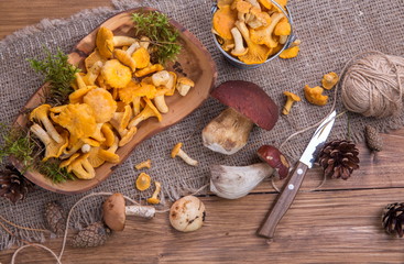 Wild fresh mushrooms on a rustic wooden table. Chanterelles, boletus, russula. Copyspace