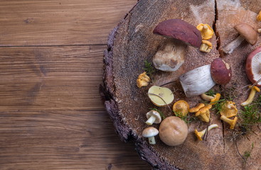 Wild fresh mushrooms on a rustic wooden table. Chanterelles, boletus, russula. Copyspace
