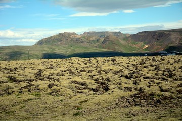 Lava field, Blue Mountains, Iceland