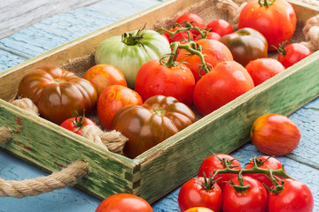 Set of different sorts of red tomatoes