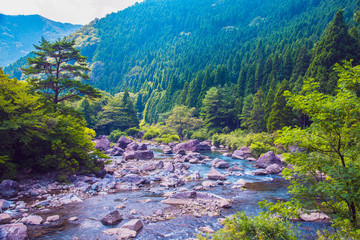 西日本の渓谷・深山の風景