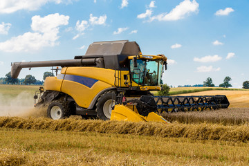 Fototapeta premium Summer harvesting with automatic harvester