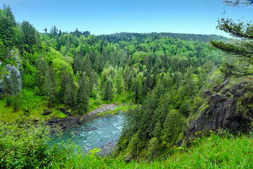 Fototapeta na wymiar River in Pacific Northwest
