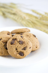 Chocolate Chip Cookies on white plate