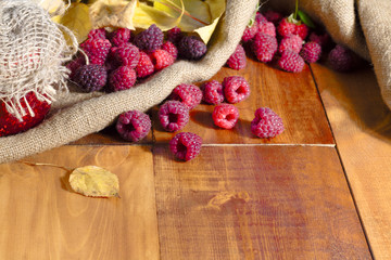 Fresh raspberries on wooden table autumn