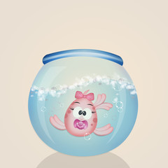 baby fish female in the bowl