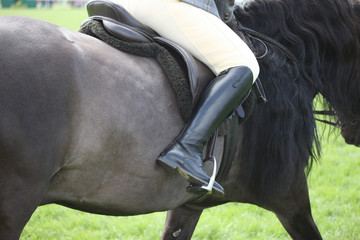 A horse with a jockey at competitions at the racetrack
