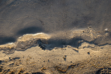Footprints on the water's edge