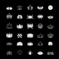 Fototapeta na wymiar lotus logo