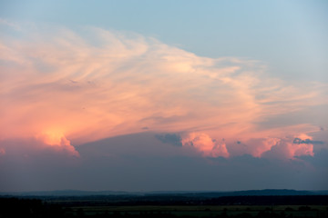 sunset pinnate pink clouds and forest on horizon