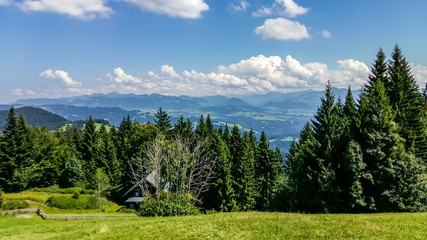 Blick auf die Alpen Bodensee