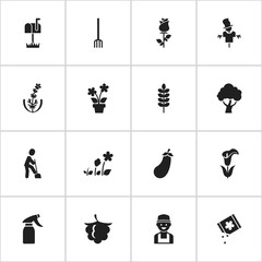Fototapeta na wymiar Set Of 16 Editable Gardening Icons. Includes Symbols Such As Lily, Ranunculus, Blackberry And More. Can Be Used For Web, Mobile, UI And Infographic Design.