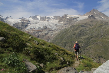 Fototapeta na wymiar randonnée dans le parc du Grand Paradis, Val d'Aoste