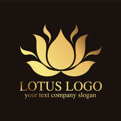 lotus logo
