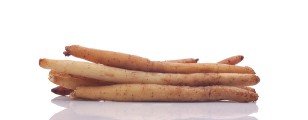 finger root on white background