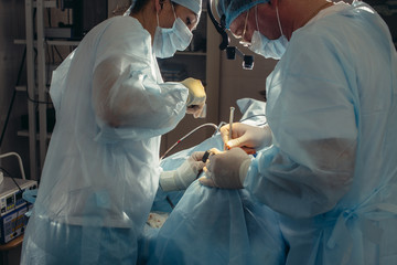 Team of surgeon in uniform perform operation on a patient at plastic surgery clinic