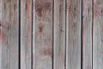 Fototapeta premium The old wood texture with natural patterns