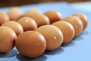 Egg image, pesticide eggs