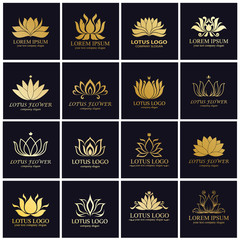 lotus logo