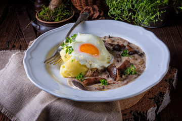 Forest mushroom sauce with fresh mushrooms, potato and poached egg