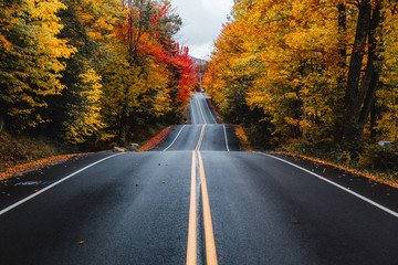 Scenic view of hilly road passing through autumn tree