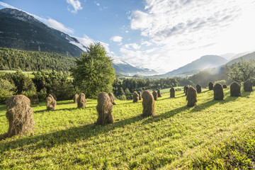 Heuwiese in Tirol