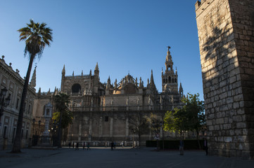 Spagna: la Cattedrale di Santa Maria della Sede, la Cattedrale di Siviglia, ex moschea consacrata...