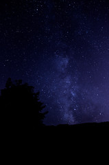Obraz na płótnie Canvas Night sky with the Milky Way