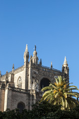 Obraz premium Spagna: vista della Cattedrale di Santa Maria della Sede, la Cattedrale di Siviglia, ex moschea consacrata come chiesa cattolica nel 1507, dove è sepolto Cristoforo Colombo