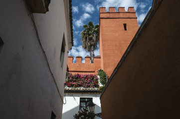 Spagna: i vicoli e i palazzi del Barrio de Santa Cruz, il quartiere più famoso di Siviglia, l'ex...