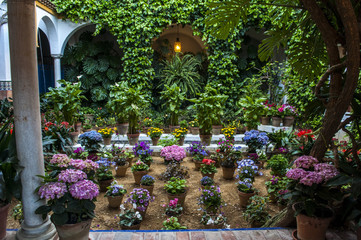 Spagna: un giardino segreto in un cortile del Barrio de Santa Cruz, il quartiere più famoso di...