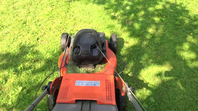 Barefeet unshod gardener man walk pushing lawn mower cutting grass. 4K
