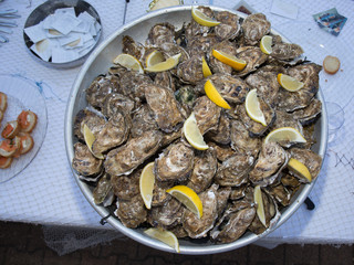 Opened Oysters on metal copper plate on table