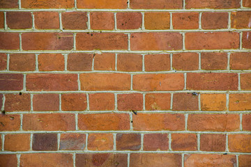 Old brick wall. Background.