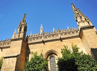 Fototapeta premium Granada Cathedral, Spain
