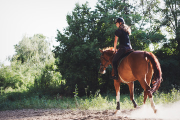 Portrait of young woman riding horse in countryside