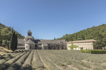 famous Senanque cloister in Gordes