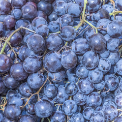grape bunches at a fruit stall at the food market