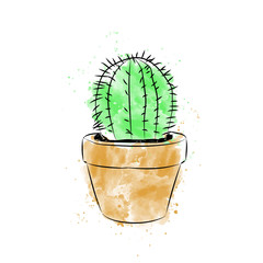 Cactus on a white background. . Cactus banner.mexico.