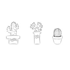 Cactus on a white background. . Cactus banner.mexico.