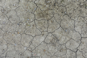 spoiled loam with scratches and dried earth