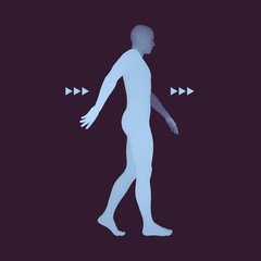 Fototapeta na wymiar Walking Man. 3D Human Body Model. Design Element. Vector Illustration.